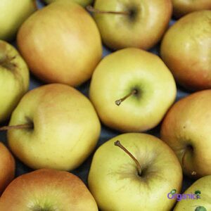 Organic Apple - Golden Delicious (each) Australia