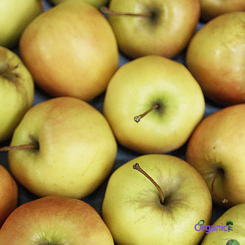 Organic Apple - Golden Delicious (each) Australia