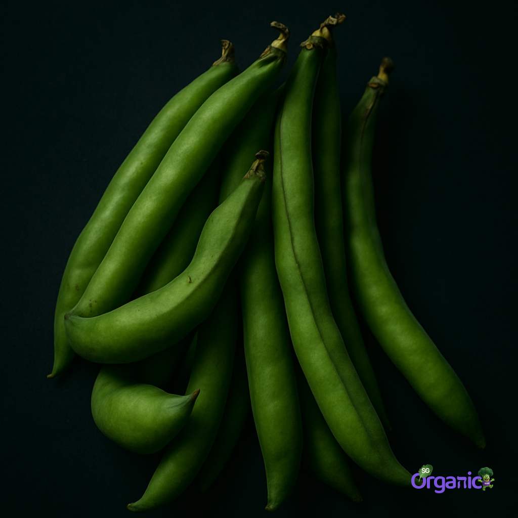 Organic Beans - Broad (100g) Australia