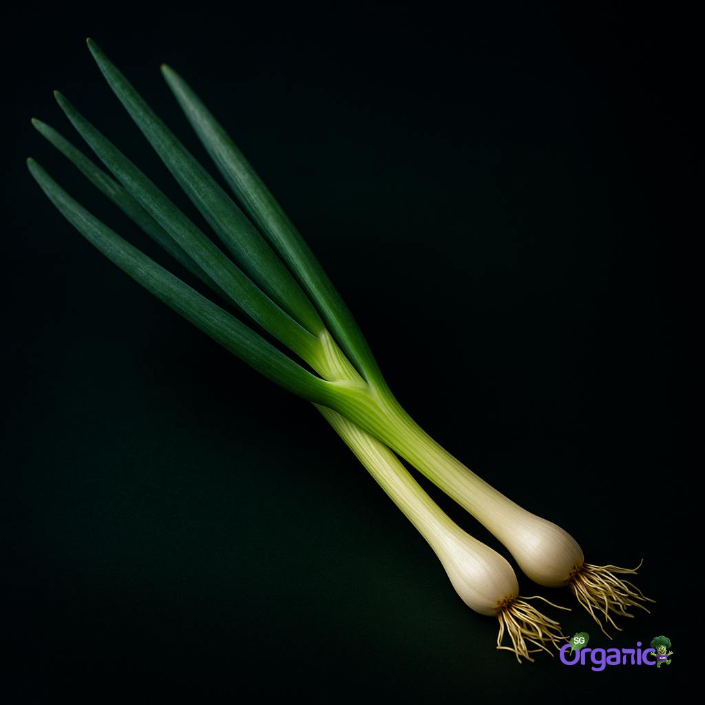 Organic Spring Onions (100g) Australia