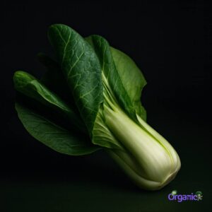 Organic Asian Greens - Bok Choy (1 stem) Australia
