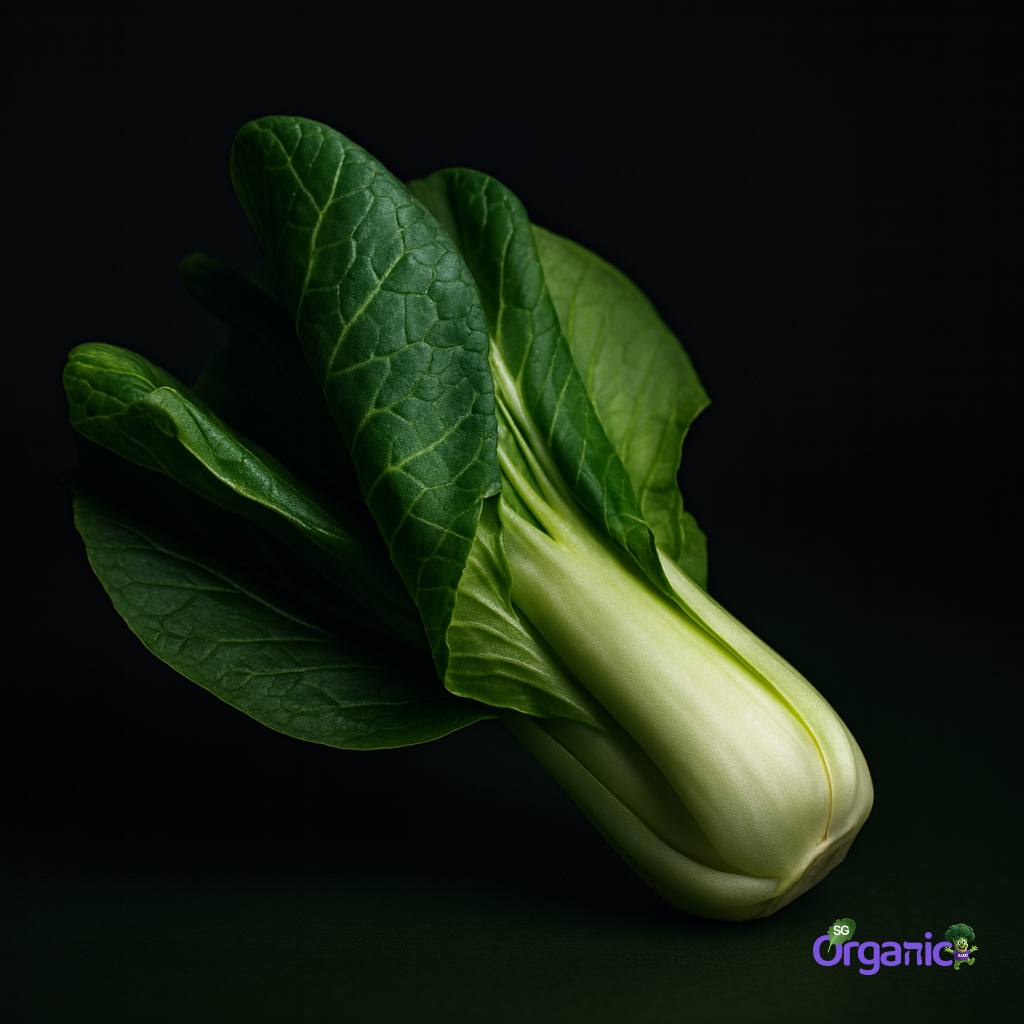 Organic Asian Greens - Bok Choy (1 stem) Australia