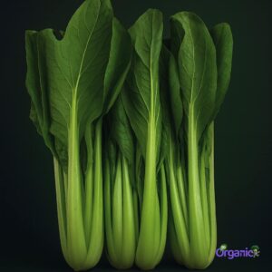 Organic Asian Greens - Choy Sum (1 Stem) Australia