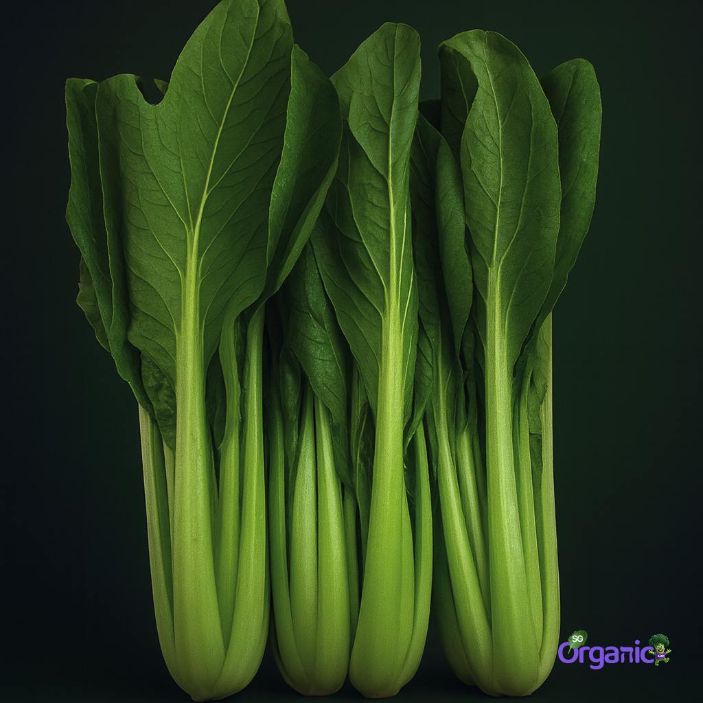 Organic Asian Greens - Choy Sum (1 Stem) Australia