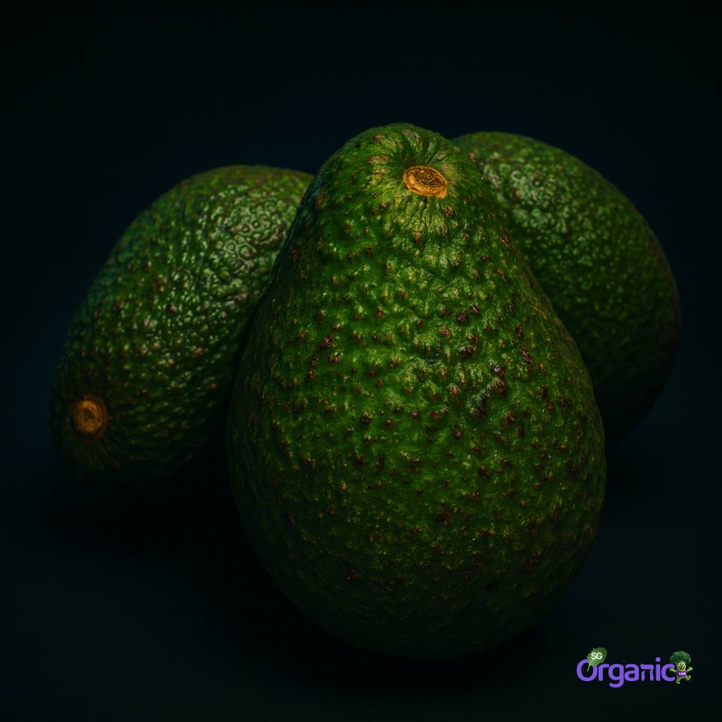 Organic Avocado - Hass (each) Australia