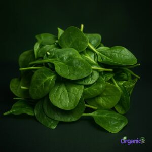 Organic Salad - Baby Spinach (100g) Australia