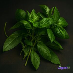 Organic Herbs - Basil (25g) Australia