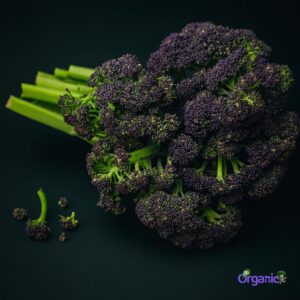 Organic Broccoli - Baby (bunch) Australia
