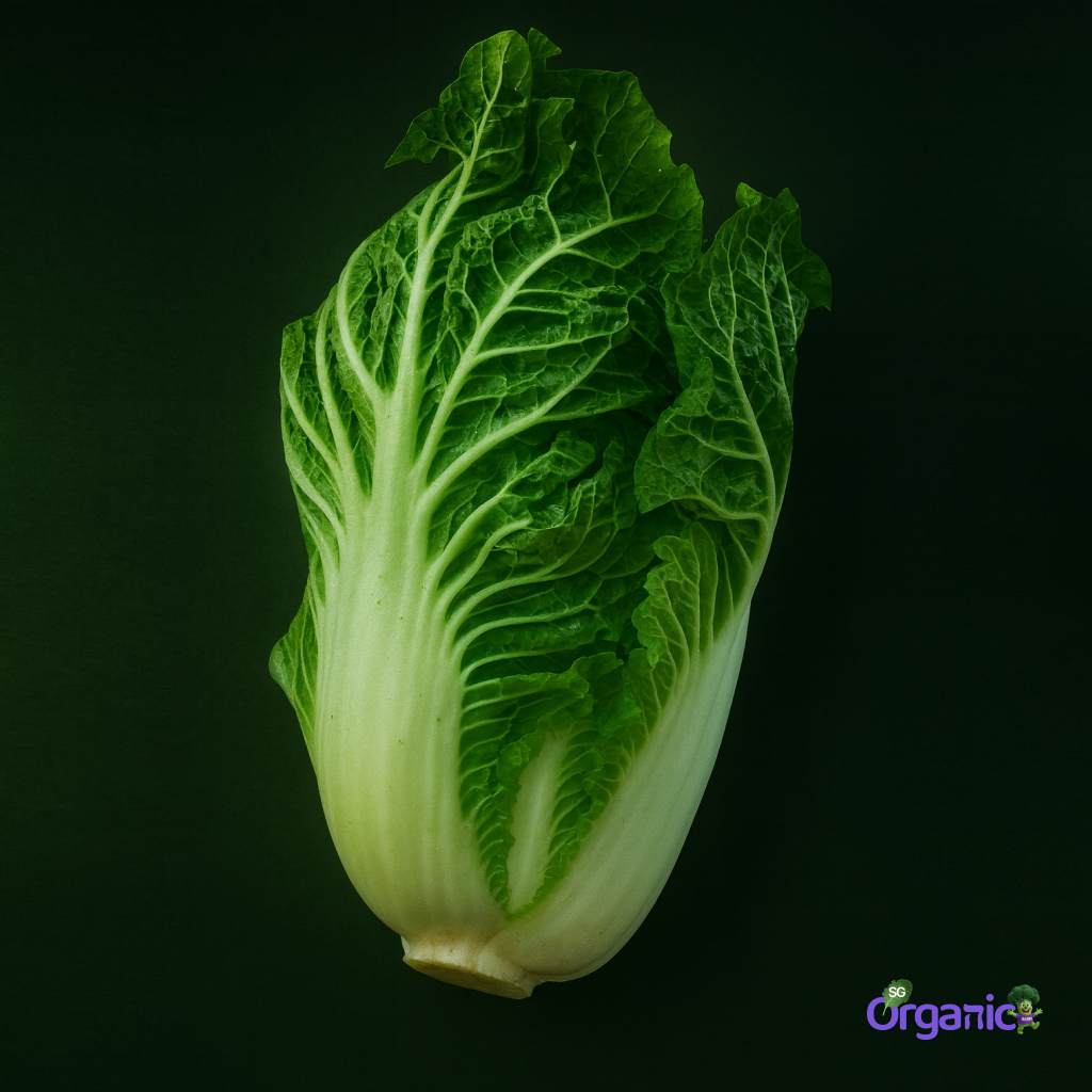 Organic Cabbage - Wombok (500g) Australia