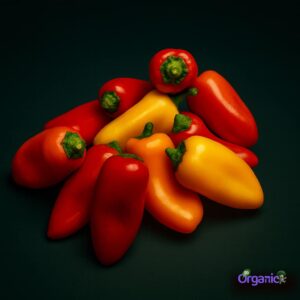 Organic Capsicum - Mini Heirlooms (snack-sized 250g) Australia
