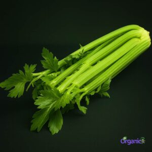 Organic Celery (750g) Australia