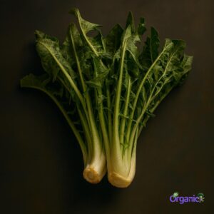 Organic Chicory (250g) Australia