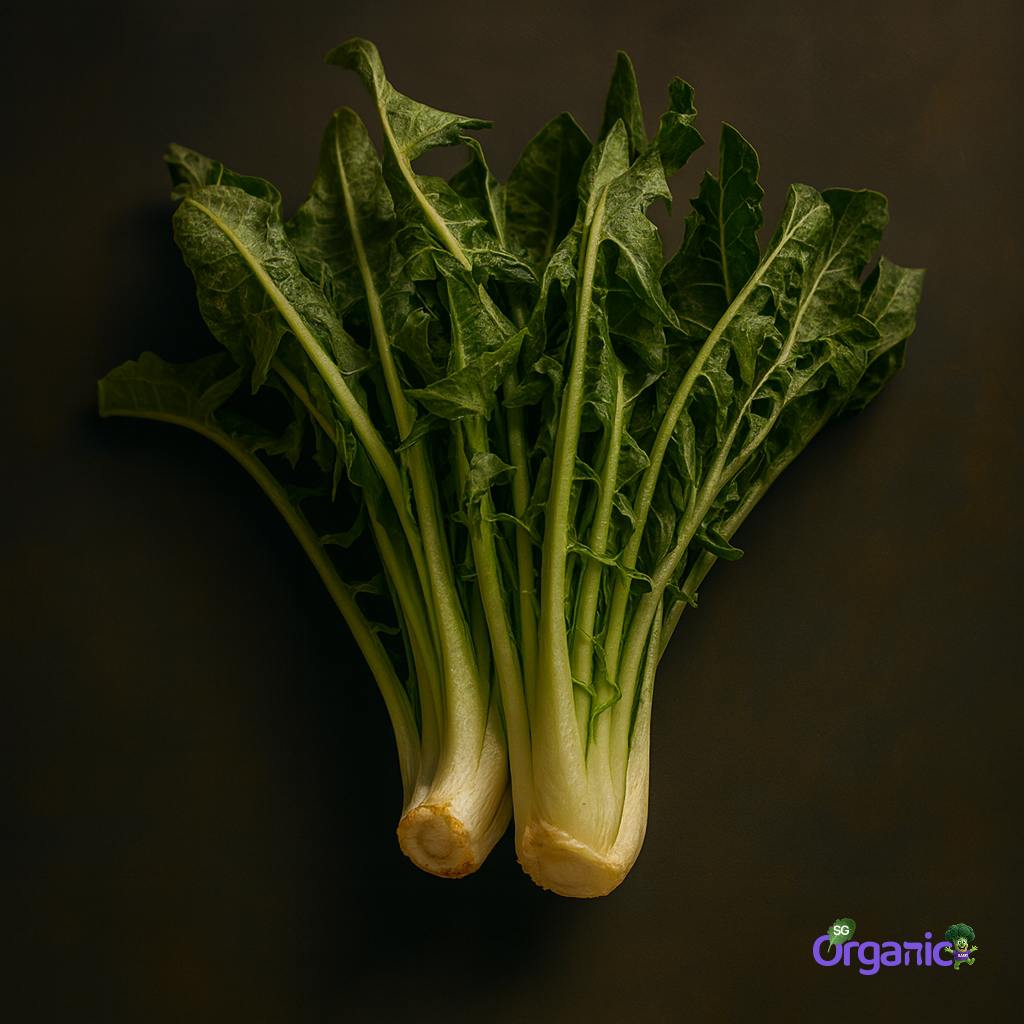 Organic Chicory (250g) Australia
