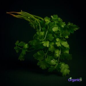 Organic Herbs - Coriander (25g) Australia