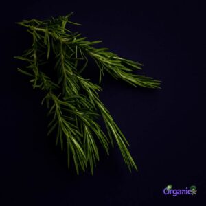 Organic Herbs - Rosemary (25g) Australia