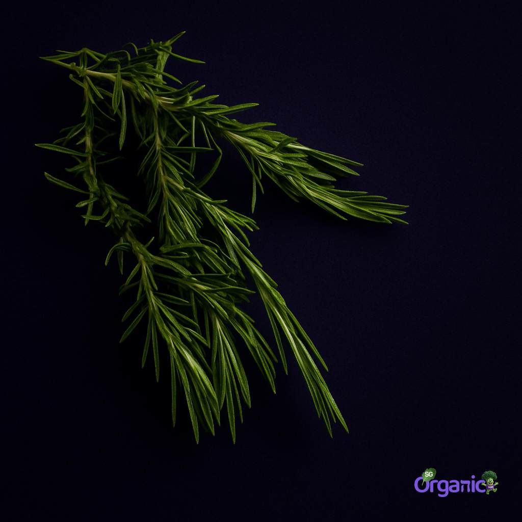 Organic Herbs - Rosemary (25g) Australia