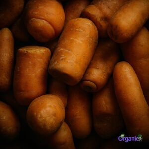 Organic Carrot - Juicing (1kg) Australia