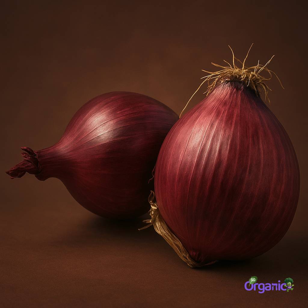 Organic Onions - Red (250g) Australia