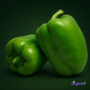 Organic Capsicum - Green (each) Australia