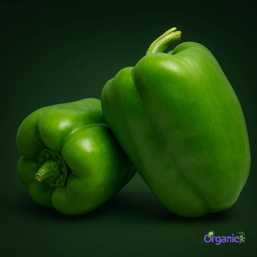 Organic Capsicum - Green (each) Australia