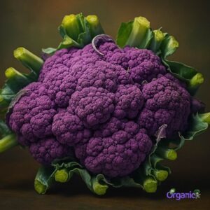 Organic Cauliflower - Purple (500g) Australia