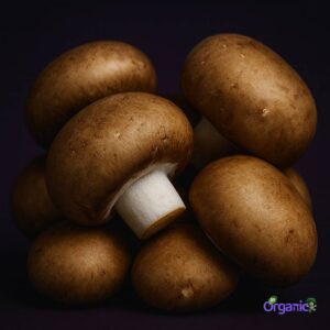 Organic Mushroom - Swiss Brown (100g) Australia