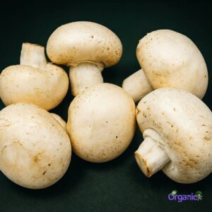 Organic Mushroom - White Button (100g) Australia