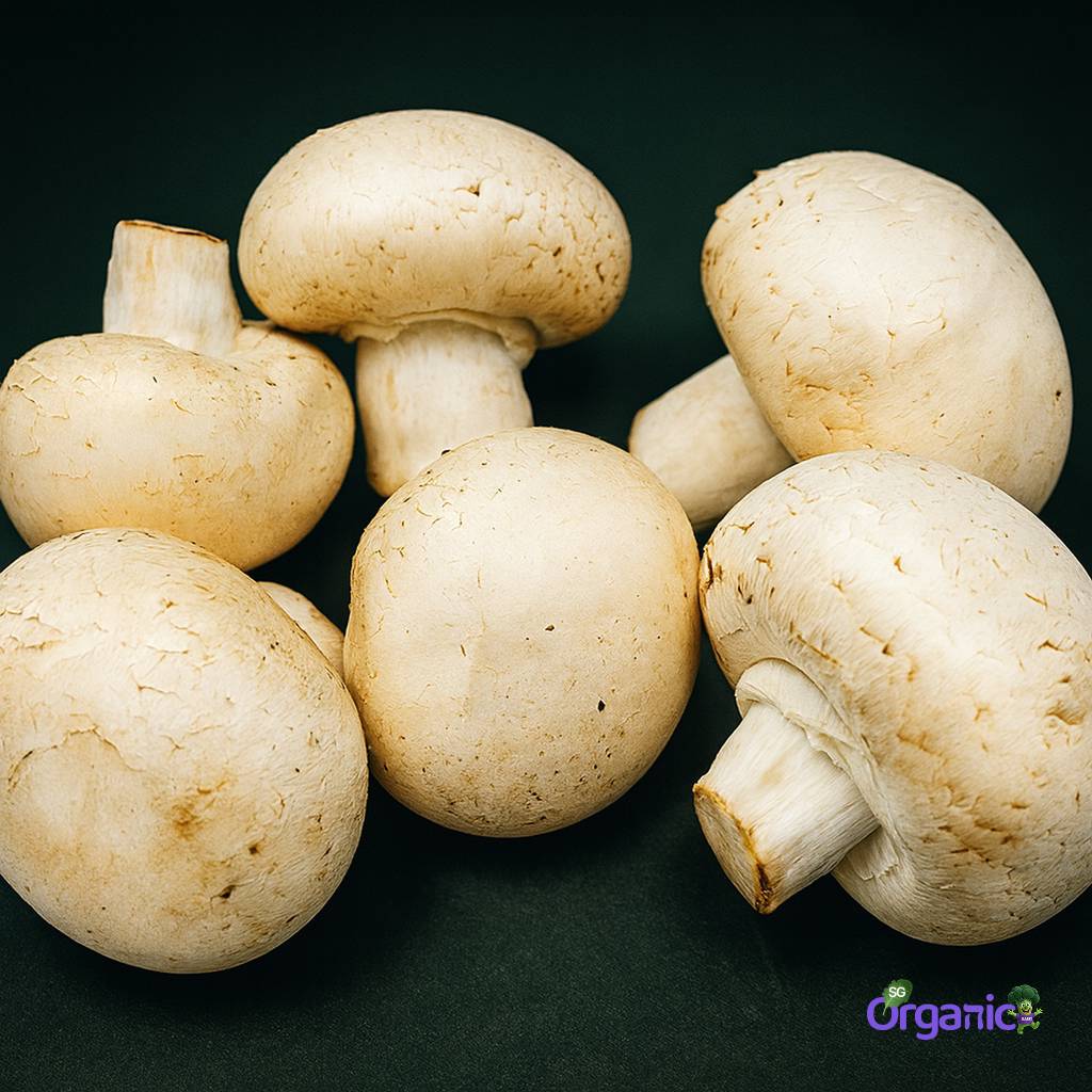 Organic Mushroom - White Button (100g) Australia