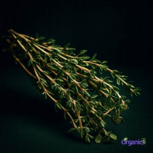 Organic Herbs - Thyme (25g) Australia