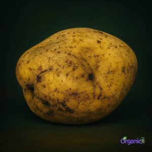 Organic Potato - Dutch Cream (500g) Australia