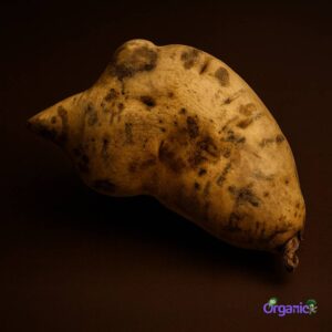 Organic Sweet Potato - White (500g) Australia