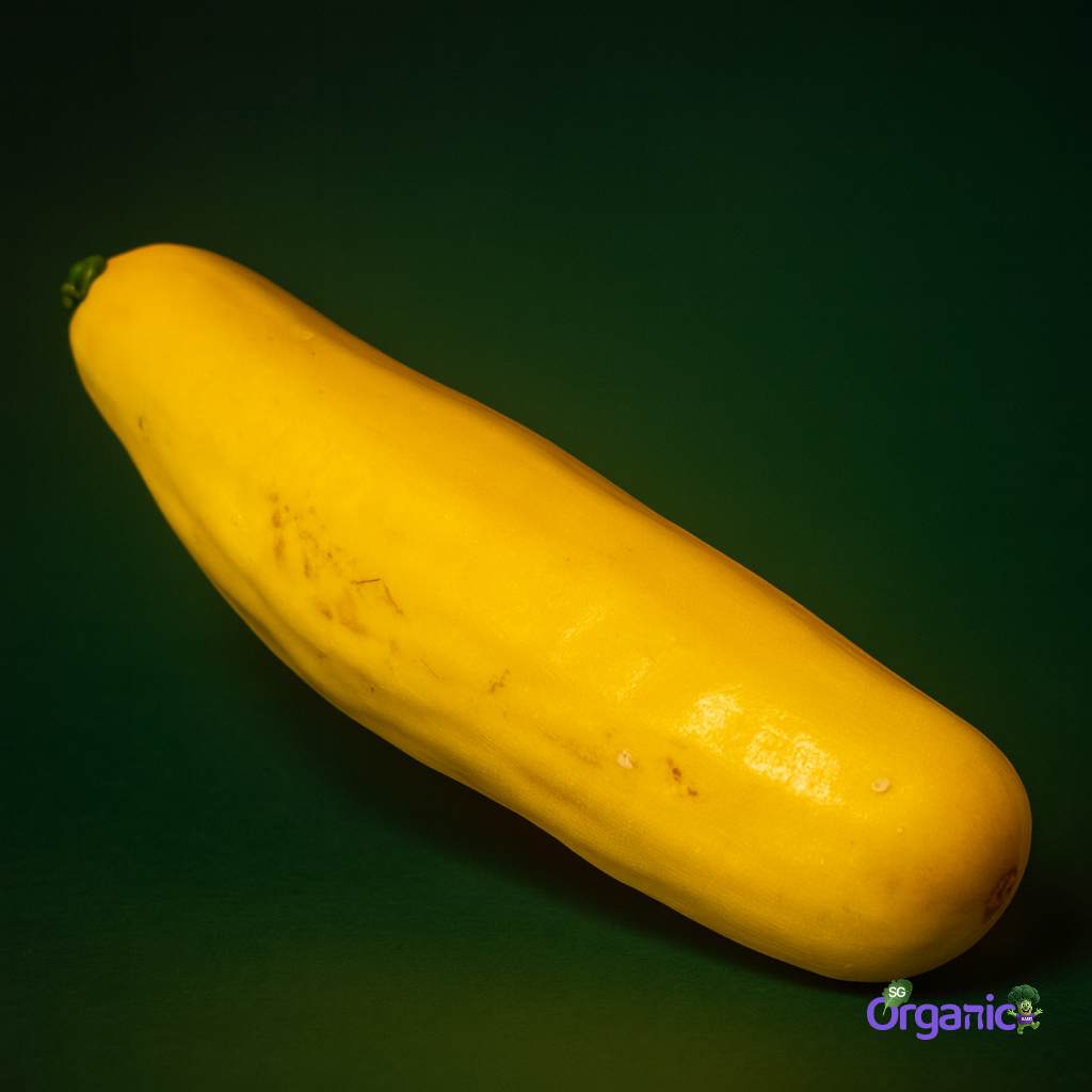 Organic Zucchini - Yellow (250g) Australia