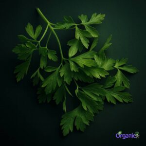 Organic Herbs - Parsley, Flat (25g) Australia