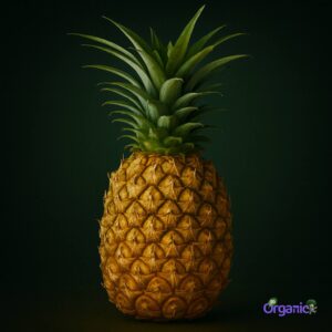 Organic Pineapple (each) Australia