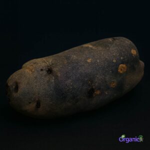 Organic Potato - Midnight Pearl (250g) Australia