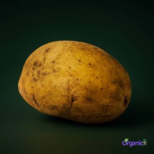 Organic Potato - Sebago (500g) Australia