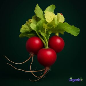 Organic Radish (150g) Australia