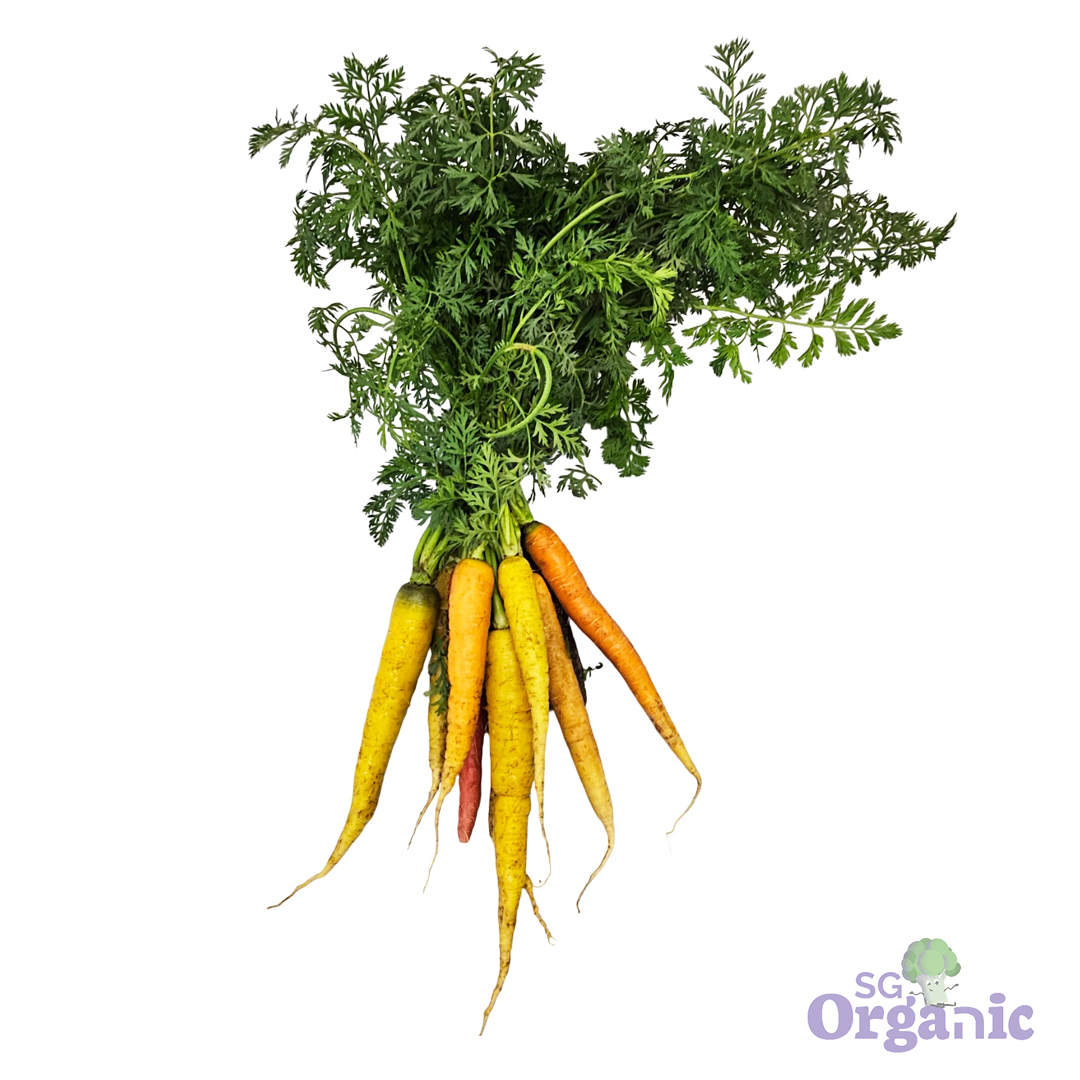 Organic Carrots - Dutch (250g) Australia - Image 2