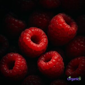 Organic Raspberries (125g) Australia