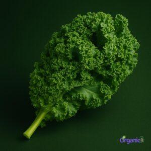 Organic Salad - Kale Leaves (100g) Australia