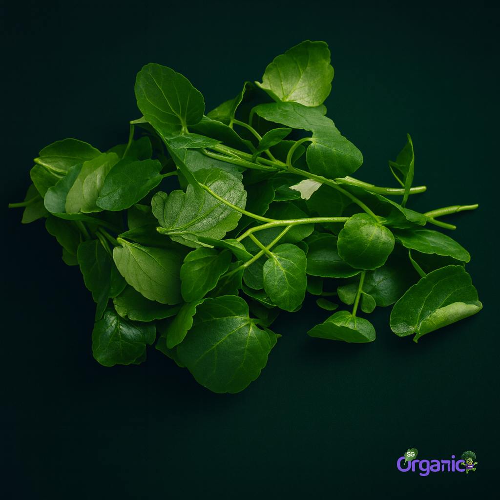 Organic Salad - Watercress (100g) Australia