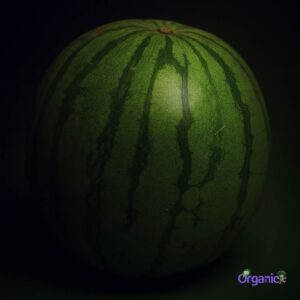Organic Melon - Watermelon (1kg-cut) Australia